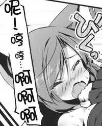 (Kouroumu 13) [Nanika no Heya (Hira)] Inu no Onee-chan-tachi no Hatsujou Shitsuke (Touhou Project) [Chinese] [狗东西汉化组]