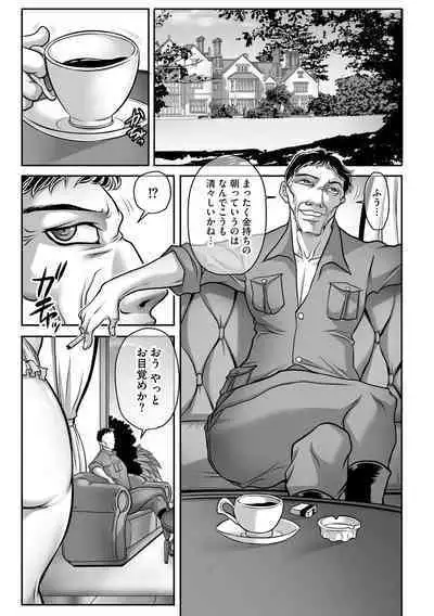 [Akane Shuuhei] Dorei Miboujin, Saki