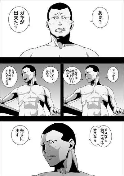 [Atelier-D] Mada Daimei no Nai Fantasy - Jimi na Elf to Minarai no Senshi I-XIII [Digital]