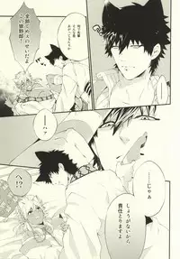 (C81) [Harugano (Harugano Kaoru)] Kemomimi! (Magi: The Labyrinth of Magic)