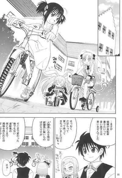 Maigo no Maigo no Hime-sama Plus