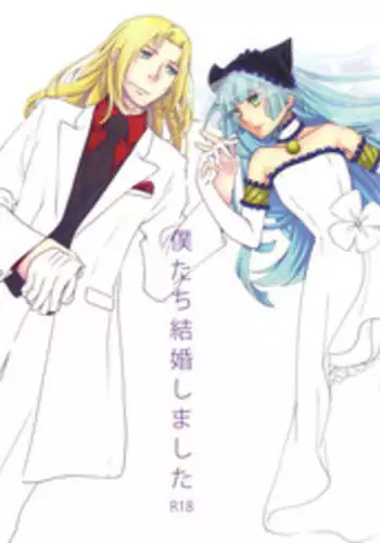 (C87) [Saturday Night Special (Nanbu Arata)] Bokutachi Kekkon Shimashita (Ar nosurge)