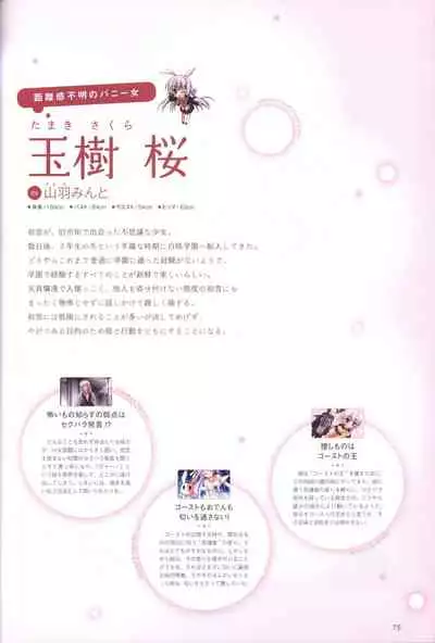 Hatsuyuki Sakura Visual Fanbook