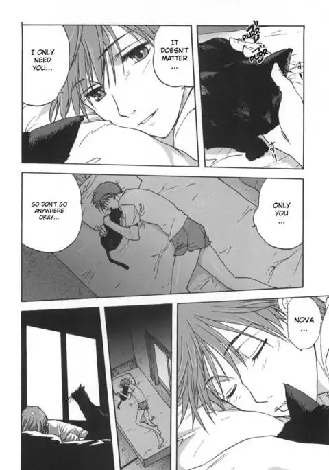 A Cat Repaying Kindness