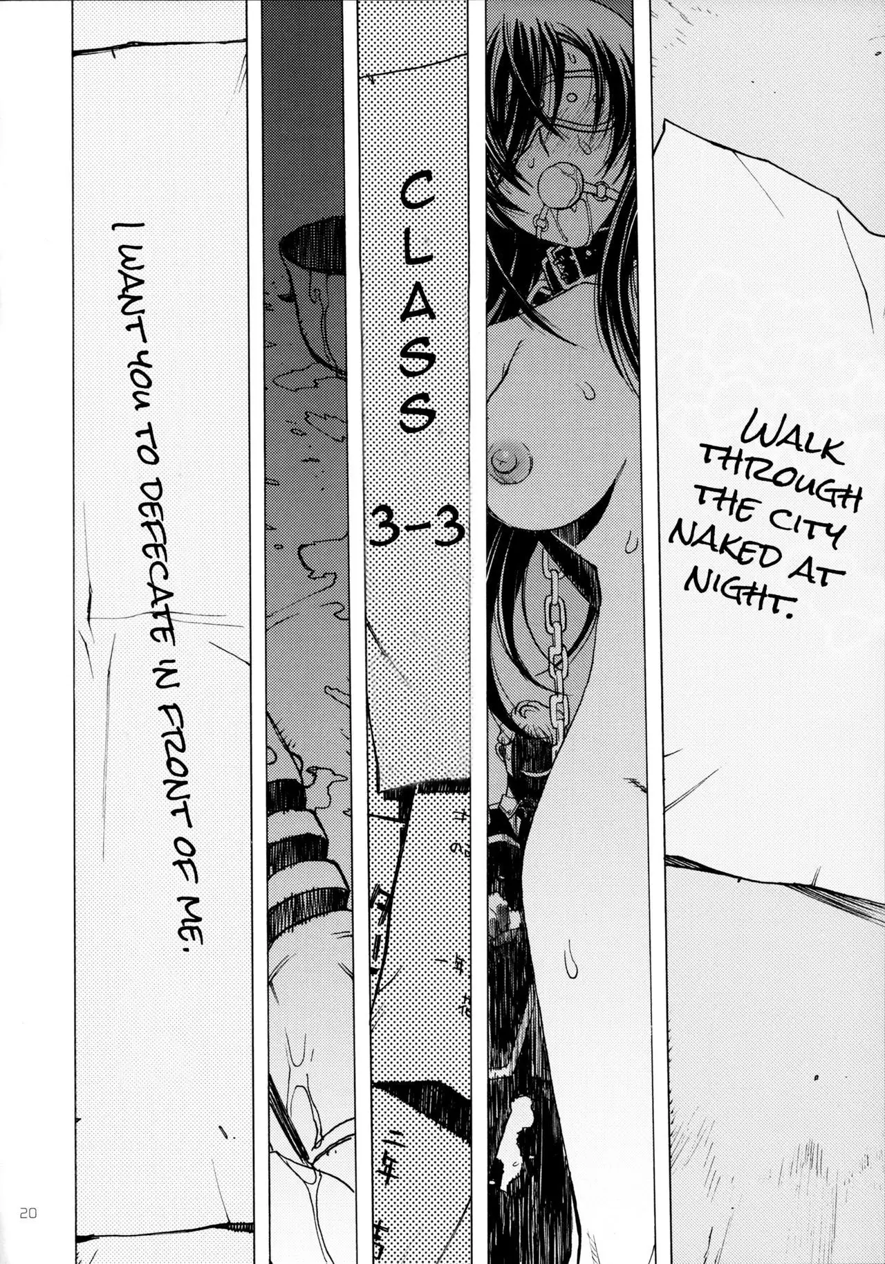 A SCHOOL OF KILLIFISH