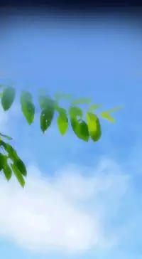 [Hong BanJang] Aharoo Ch.1-30 (English) (YoManga) (Ongoing)