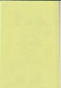 (HaruCC18) [Usagi paradise (Misa)] Hajimete no Natsu. ~The First Summer~ (The Legend of Zelda: Skyward Sword)