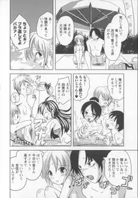 [Natsume Fumika] Tsubomi to Boin