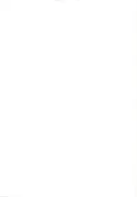 (C95) [Aoirokanata (Shikitani Asuka)] Hatsujouki no Nyan Koishi | 发情期的猫恋 (Touhou Project) [Chinese] [布洛基个人汉化]