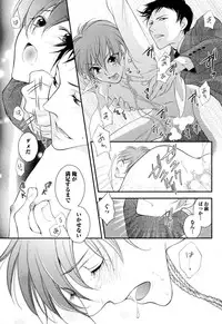 [Narcisse Noir] Goshujin-sama Choukyou Keikaku