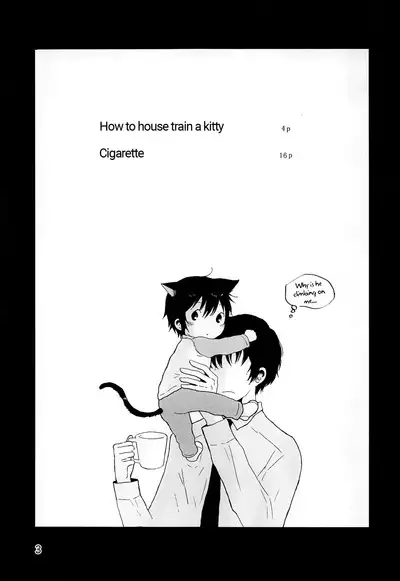 Heya o Yogosu Neko no Shitsukekata Cigarette | How to house train a kitty + Cigarette
