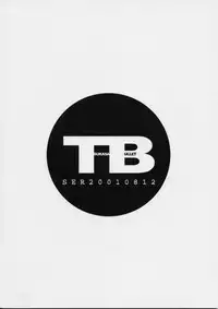 (C60) [Tsukasa Bullet (Tsukasa Jun)] Tsukasa Bullet 2001 (Street Fighter)