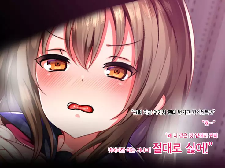 Namaiki Iede Musume, Nakadashi HaramaSex Shihoudai desu.