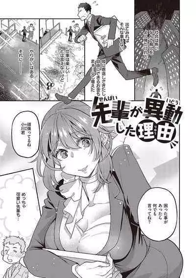 Anata no Yokubou no Iremono desu.