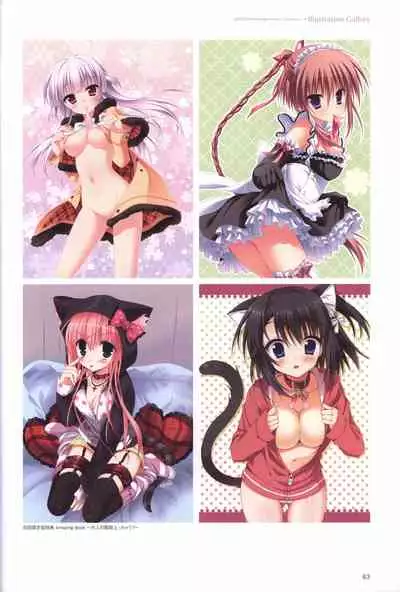 Hatsuyuki Sakura Visual Fanbook