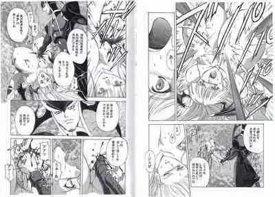 CAPTAIN STORM STAGE 11