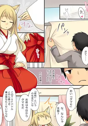 Your ability is the ability to fade humans into female foxes.