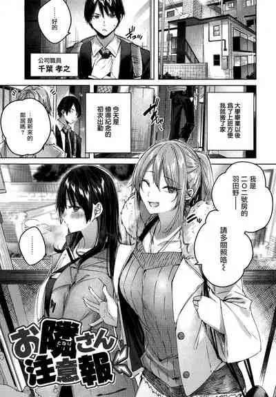 Shiko Splash + 4P Leaflet