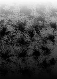 (COMIC1☆5) [Bronco Hitoritabi (Uchi-Uchi Keyaki)] Yoru ni hibiku - Sounds at night - JP (Suite Precure )