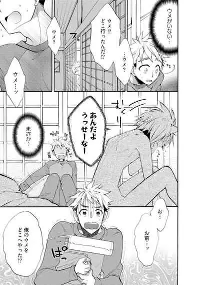 Wolves and Erotic Things