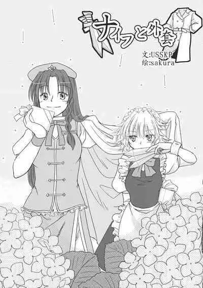 Touhou Kouginmu 2 | 東方紅銀夢2