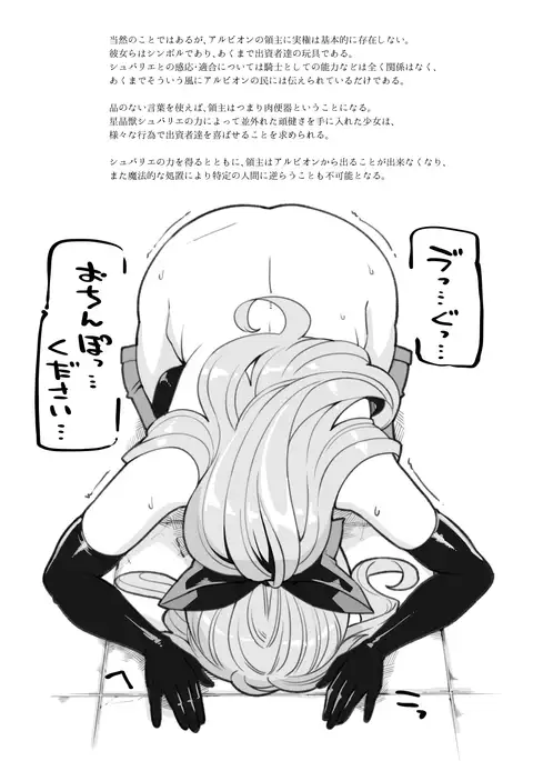 Vila・Lilie Kansatsu Kiroku