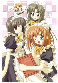 Canvas Visual Fan Book