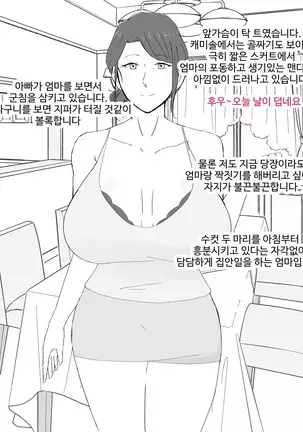 Boshi Furin Seikatsu ~Kaa-san to Gachihame Kairaku Choukyou no Natsu~