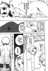 [Kishimoto Saisi] naruto ninja biography vol.05 (naruto) [chinese]