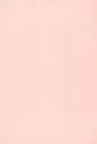 (C92) [Tori no Ya (Mashikodori)] Suki na no wa Onii-chan mo Issho