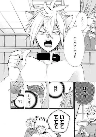 Wolves and Erotic Things