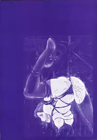 [Mayumi Daisuke] Hitoduma Ryoukan Nikki