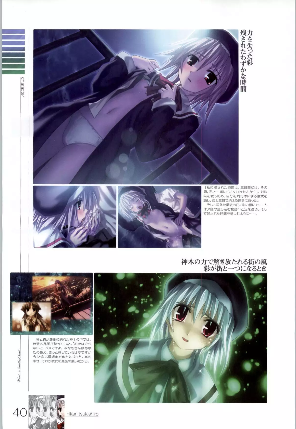 Wind - a breath of heart - Visual Fan Book 1&2