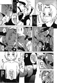 [Kishimoto Saisi] naruto ninja biography vol.05 (naruto) [chinese]