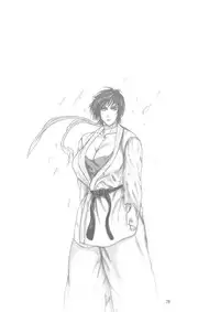 (C69) [bash-inc (BASH)] Breast Feast 2005 (Street Fighter)