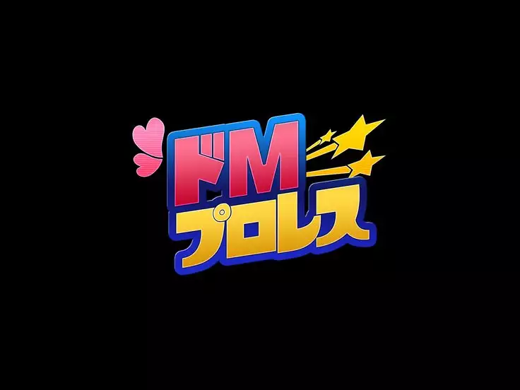 ドMプロレス2 画像集