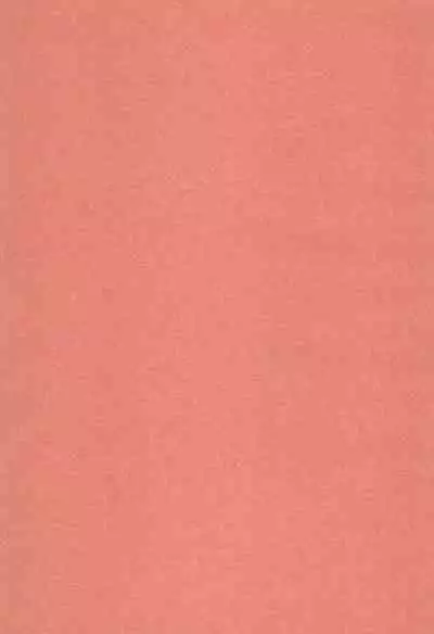 (C103) [AMEIRO (Nanashiki)] Yuki ga Toke Tara | When the Snow Melts (Lycoris Recoil) [English] [/u/ scanlations]