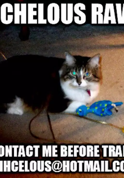 Marshmallow chocolate