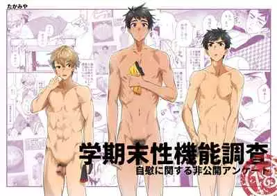 Gakkimatsu Seikinou Chousa