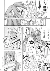 (CT15) [FOX・HOUND (Sugiyama Takashi)] Kousinryou wo Ookami ni Ⅰ (Spice and Wolf)