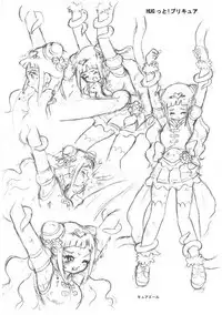 PreCure All Stars Ryona & Ryoujoku Rough Gashuu