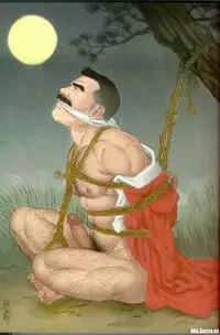 [Gengoroh Tagame][田龟源五郎] Shirogane-no-Hana The Silver Flower vol.3[银之华] [Chinese]