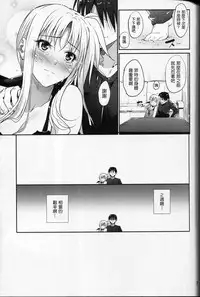 (C87) [IV VA SHIN (Mikuni Mizuki)] Home Sweet Home ~Fate Hen 6~ (Mahou Shoujo Lyrical Nanoha) [Chinese] [Drz漢化]
