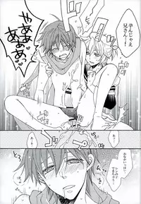 (C86) [Love Size (Saiga Mayu)] Hatsudori Document (VOCALOID)