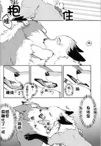 (Kansai! Kemoket 5) [D-Point! (Diga Tsukune)] Yume Utsutsu Lovage | 梦&醒 Ravage [Chinese] [虾皮汉化组]