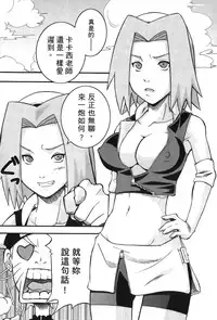 [Kishimoto Saisi] naruto ninja biography vol.09 (naruto) [chinese]