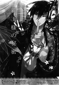 (C84) [PureSlider. (Matsuo)] PURESLIDER. 2011-2012 (Magi: The Labyrinth of Magic)