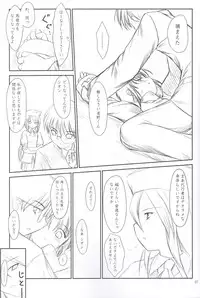 (C65) [Pazzo S.P. (Akikaze Shirakumo)] Petite Soeur (Tsukihime, MELTY BLOOD)