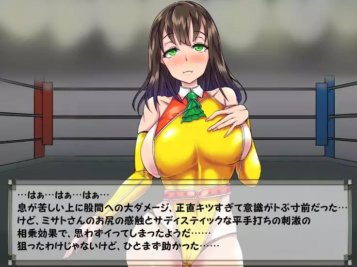 ドMプロレス2 画像集