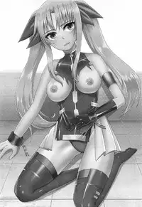 (C91) [Planariatei (Arimori Haru)] Fate-chan ga XX Sarechau Hon (Mahou Shoujo Lyrical Nanoha)